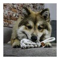 D&D Home Kurt Plush Toy for Dogs