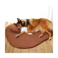 D&D Home Peeble Dog Head Pillow