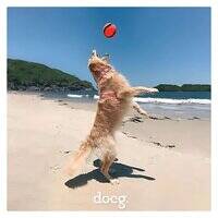 Docg Sunblock Make Me Protected for Dogs And Cats 100G