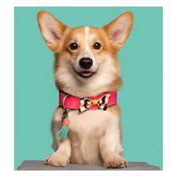 DWAM Blossom Dog Collar