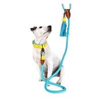 DWAM Extra Long Blues Dog Leash