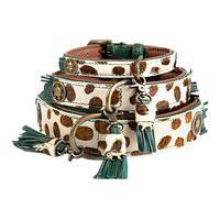 DWAM Ivy Dog Collar