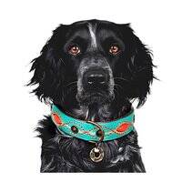 DWAM Janis Dog Collar