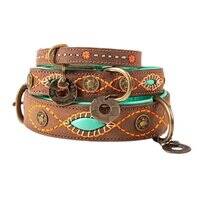 DWAM Joplin Dog Collar