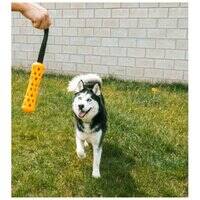 ebi Bite Me 'Crack Me Up' Stick Sensory Dog Toy 205946-1