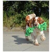 ebi Bite Me 'Do You Even Floss Dawg' Playing Rope SKU:205218-1