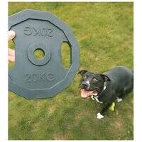 ebi Bite Me 'For the Gainz' Barbell Dog Toy 205948-1