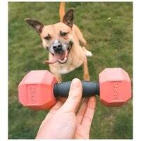 ebi Bite Me 'For the Gainz' Dumbbell Dog Toy  205949-1