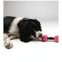 ebi Bite Me 'For the Gainz' Dumbbell Dog Toy  205949-1