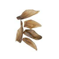 Flamingo Natural Buffalo Ears Dog Treats 5pcs