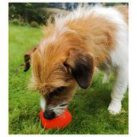 Frogg Bobbly Ball Dog Toy 205486-1