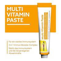 Gimcat Multi-Vitamin Paste