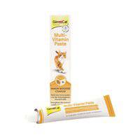 Gimcat Multivit Profes In Bulk