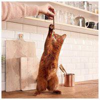 GimCat Sticks Turkey & Rabbit Cat Treats, 20g