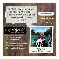 Green And Wilds Barry the Banana