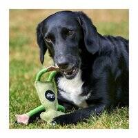 Green And Wilds Francois Le Frog Eco Toy for Dogs