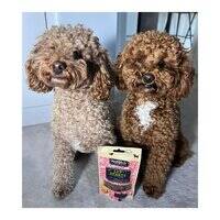 Green And Wilds Luv Hearts Dog Treats 100G