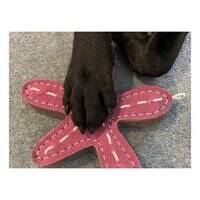 Green And Wilds Stanley the Starfish Toy for Dogs