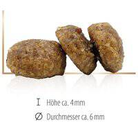 Happy Dog Mini XS Bali