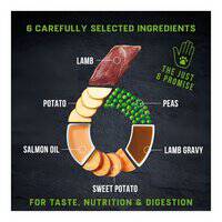 Harringtons Just 6 Lamb Grain Free Adult Dry Dog Food