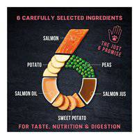 Harringtons Just 6 Salmon Grain Free Adult Wet Dog Food