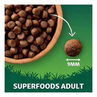 Harringtons Superfoods Salmon with Vegetables Adult Dry Dog Food