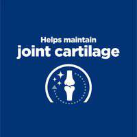 Hill/s Prescription Diet ـj/d Mobility Canine joint care wet food with chicken