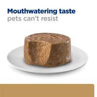 Hill's Prescription Diet a/d Canine Feline Restorative Care With Chicken