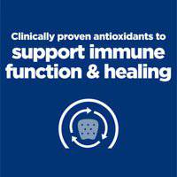 Hill's Prescription Diet a/d Canine Feline Restorative Care With Chicken