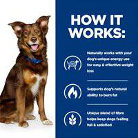 Hill's prescription diet ca metalic lamb and rice