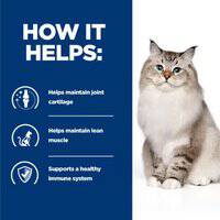 Hill's Prescription Diet j/d Feline Joint Care with Chicken