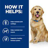 Hill's Prescription Diet j/d +Mobility Canine Dry Food With chicken