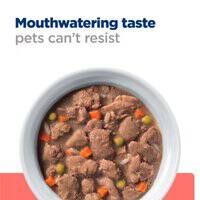 Hill's Prescription Diet ON-Care Wet Dog Food With Chicken