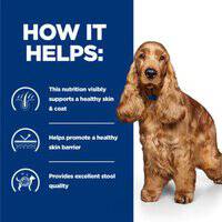 Hill's Prescription Diet z/d Wet Dog Food for Sensitivities52742039718