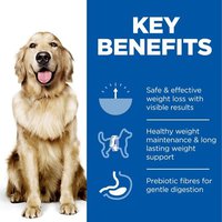 Hill's Science Plan Adult Perfect Weight Large Breed Dog Food with Chicken