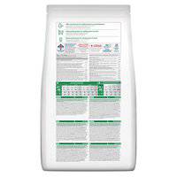 Hill's Science Plan Kitten Food with Chicken