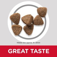 Hill's Science Plan Kitten Food with Chicken