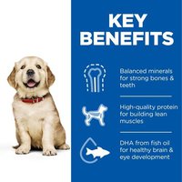 Hill's Science Plan Large Breed Puppy Food with Chicken