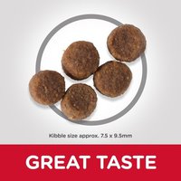 خطّة علم الهیلز المثاليّة لطيور الجرو المتوسطة مع الدجاج والأرز البني