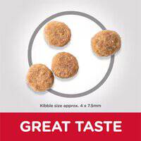 Hill's Science Plan Sensitive Stomach & Skin Small & Mini Adult Dog Food with Chicken