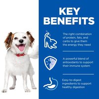 هيلز ساينس بلان موس للكلاب الصغيرة والصغيرة للبالغين