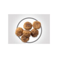 Hill's Science Plan Small & Mini Adult Dog Food with Lamb & Rice