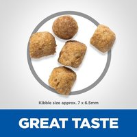 Hill's Science Plan Urinary Health Adult Cat Food with Chicken