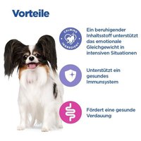 Hill's Vet Essentials Calm & Healthy Small & Mini Adult Dog Food With Chicken