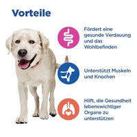 هيلز ڤيت إسينشالز  طعام جاف للكلاب البالغة متعدد الفوائد من 1 إلى 5 سلالات كبيرة مع لحم الضأن والأرز