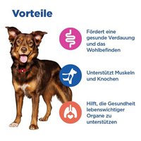 Hill's Vet Essentials Multi-Benefit Adult 1-6 Medium Dry Dog Food With Lamb & Rice