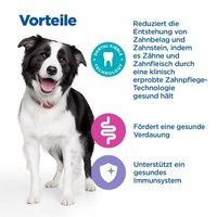 Hill's Vet Essentials Multi-Benefit + Dental Adult 1+  Medium and Large Breed Dog Food with Chicken