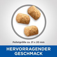 Hill's Vet Essentials Multi-Benefit + Dental Adult 1+  Medium and Large Breed Dog Food with Chicken