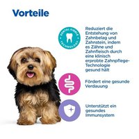 Hill's Vet Essentials Multi-Benefit + Dental Adult 1+ Small & Mini Dry Dog Food With Chicken