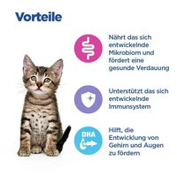 Hill's Vet Essentials Multi-Benefit Kitten Dry Food with Chicken